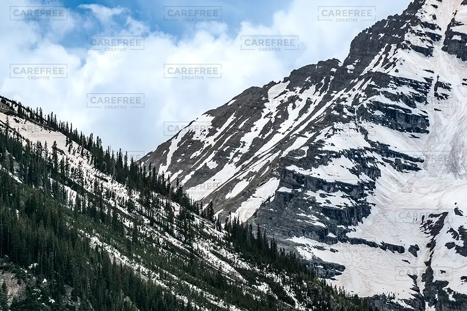 Maroon Bells Snowy Mountains and Pine Forest, Aspen, Colorado · United States