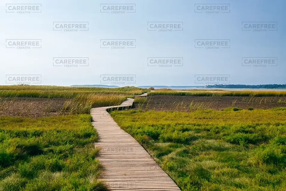Mass Audubon Wellfleet Sanctuary Boardwalk into Marshland, South Wellfleet, Massachusetts · United States