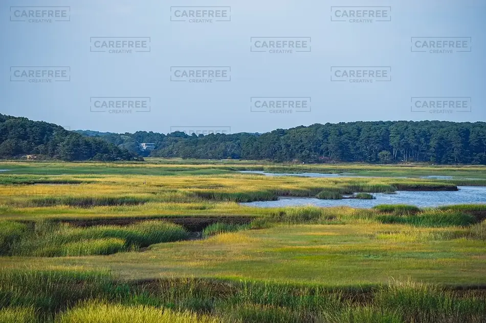 Mass Audubon Wellfleet Sanctuary Marshland Panorama, South Wellfleet, Massachusetts · United States