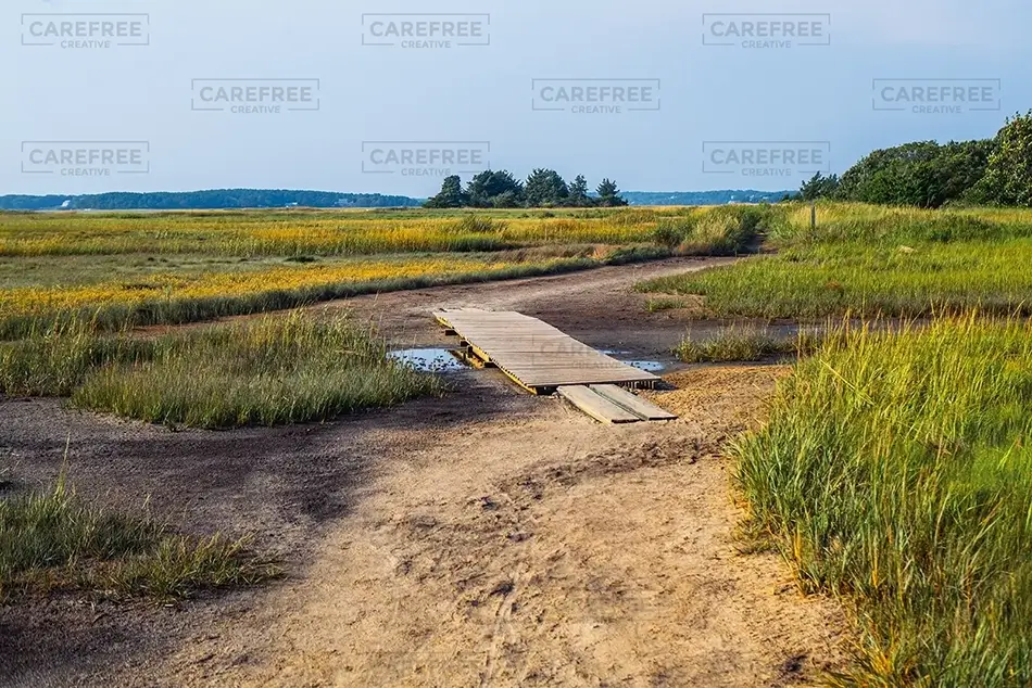 Mass Audubon Wellfleet Sanctuary Salt Marsh Trail, South Wellfleet, Massachusetts · United States