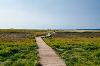 Mass Audubon Wellfleet Sanctuary Pathway Into the Marsh, South Wellfleet, Massachusetts