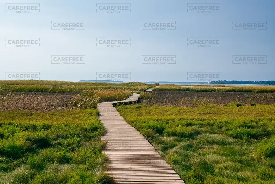 Mass Audubon Wellfleet Sanctuary Pathway Into the Marsh, South Wellfleet, Massachusetts · United States
