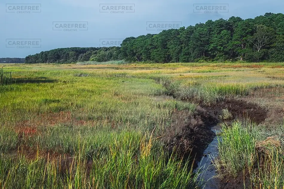 Mass Audubon Wellfleet Sanctuary Marshland Tapestry, South Wellfleet, Massachusetts · United States