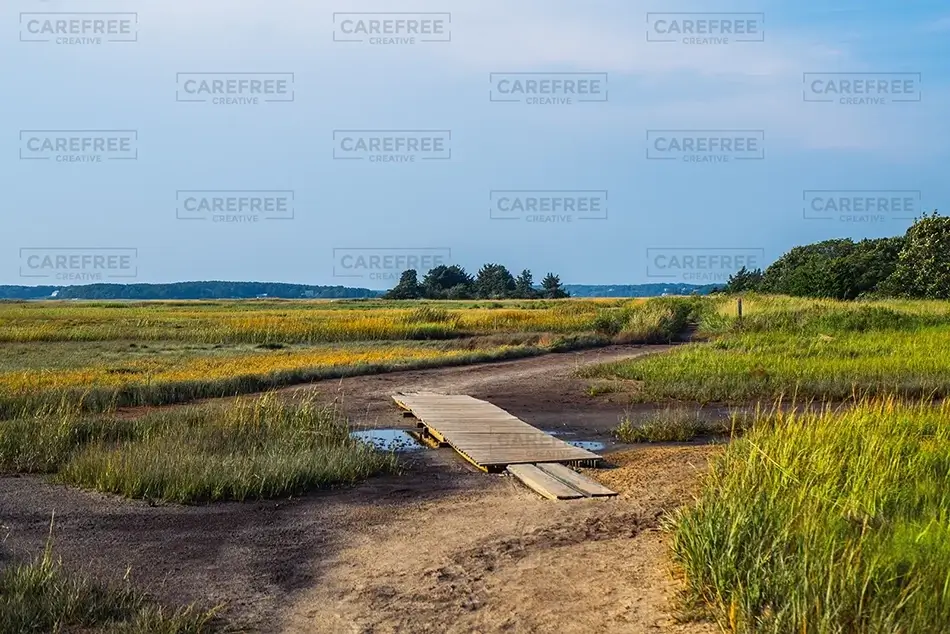Mass Audubon Wellfleet Sanctuary Journey to the Wetlands, South Wellfleet, Massachusetts · United States