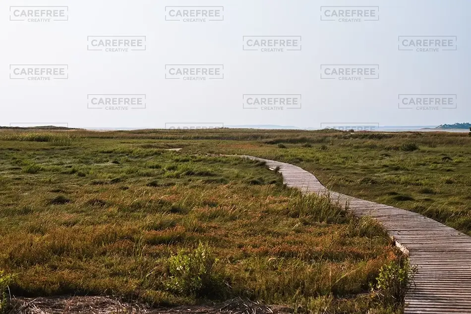Mass Audubon Wellfleet Sanctuary Trail to the Moor, South Wellfleet, Massachusetts · United States