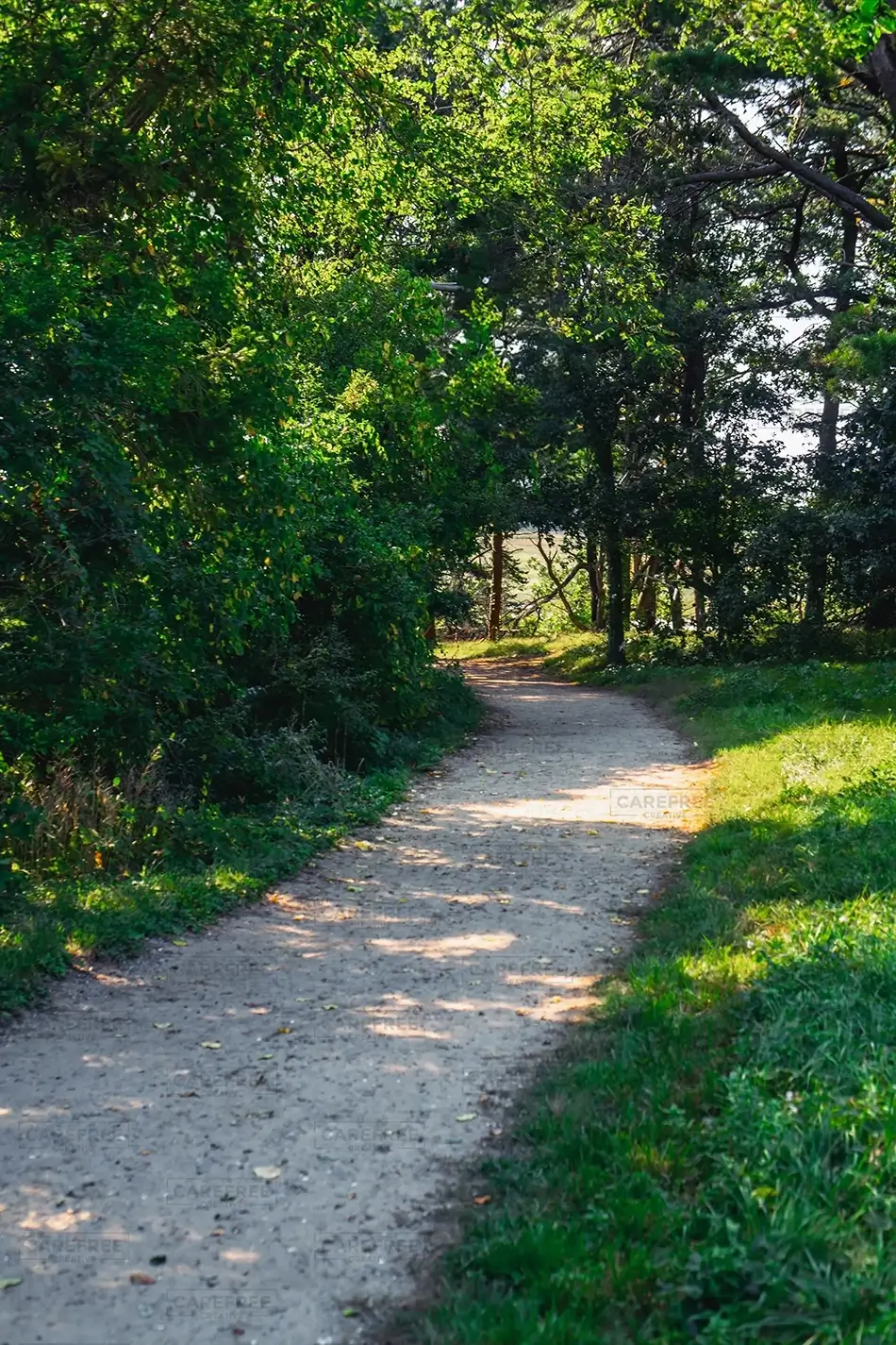 Mass Audubon Wellfleet Sanctuary Forest Trail, South Wellfleet, Massachusetts · United States