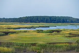 Mass Audubon Wellfleet Sanctuary Gleaming Marsh, South Wellfleet, Massachusetts
