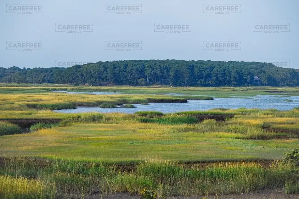 Mass Audubon Wellfleet Sanctuary Gleaming Marsh