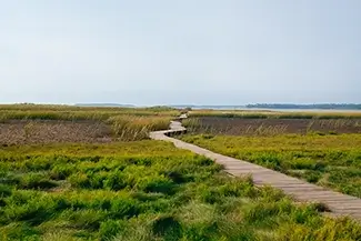 Mass Audubon Wellfleet Sanctuary Meandering Boardwalk, South Wellfleet, Massachusetts