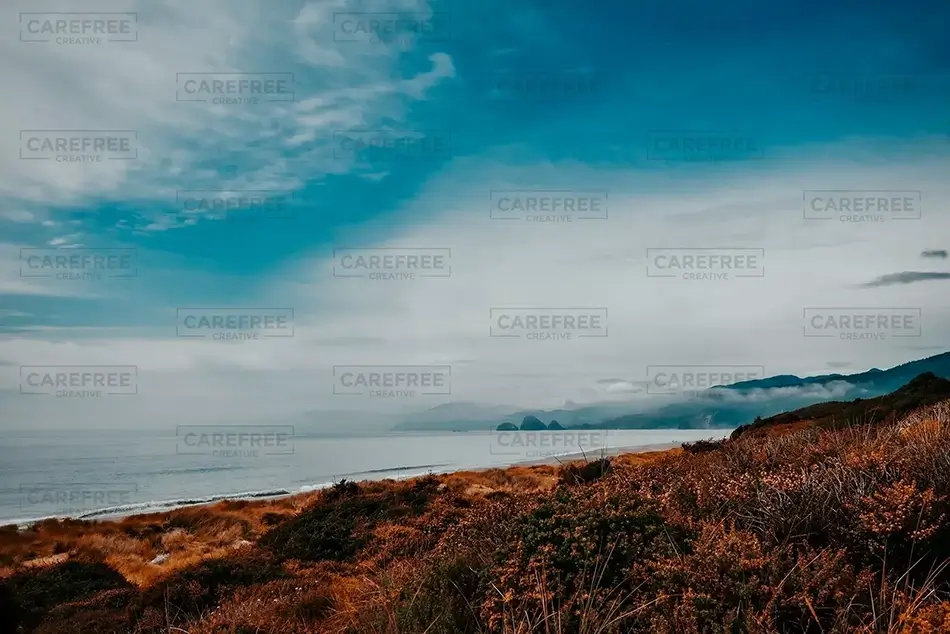 McVay Rock State Recreation Site Coastal Horizon, Brookings, Oregon · United States