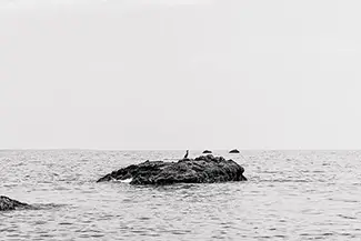 McVay Rock State Recreation Site Serene B&W Seascape, Brookings, Oregon