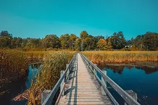 Mer Bleue Bog Pathway Through Autumn, Ottowa, Ontario