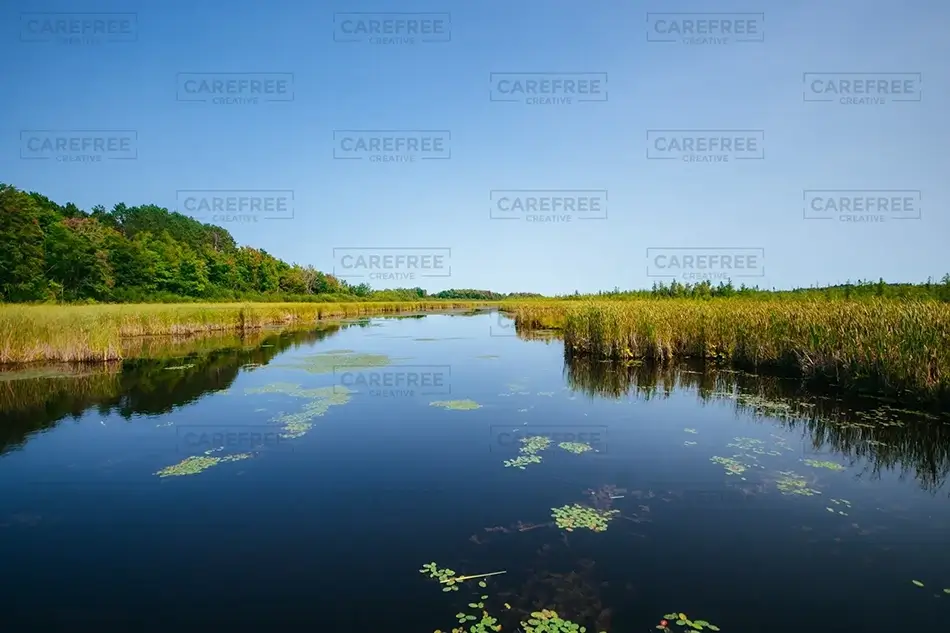 Mer Bleue Bog Waterscape, Ottowa, Ontario · Canada