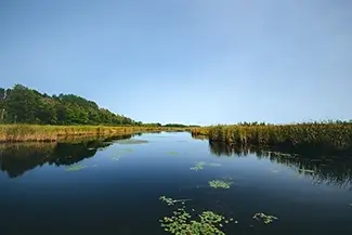 Mer Bleue Bog Mirrored Lake, Ottowa, Ontario