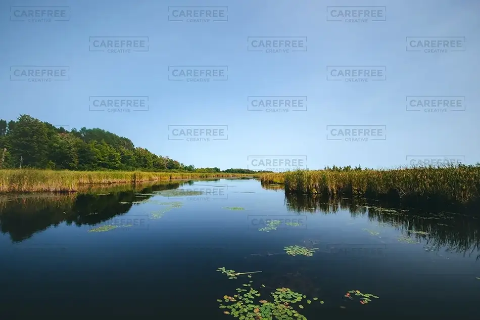 Mer Bleue Bog Mirrored Lake, Ottowa, Ontario · Canada