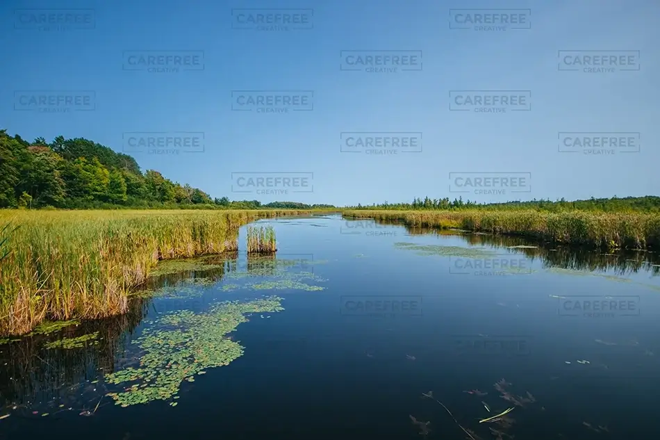 Mer Bleue Bog Peaceful Blue Expanse, Ottowa, Ontario · Canada