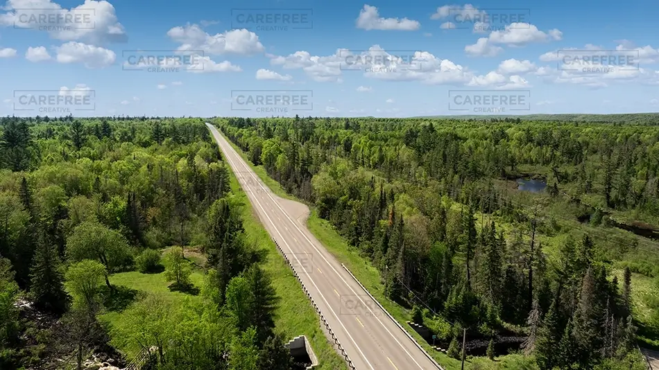 Michigan Highway Through Green Forest, Michigan · United States