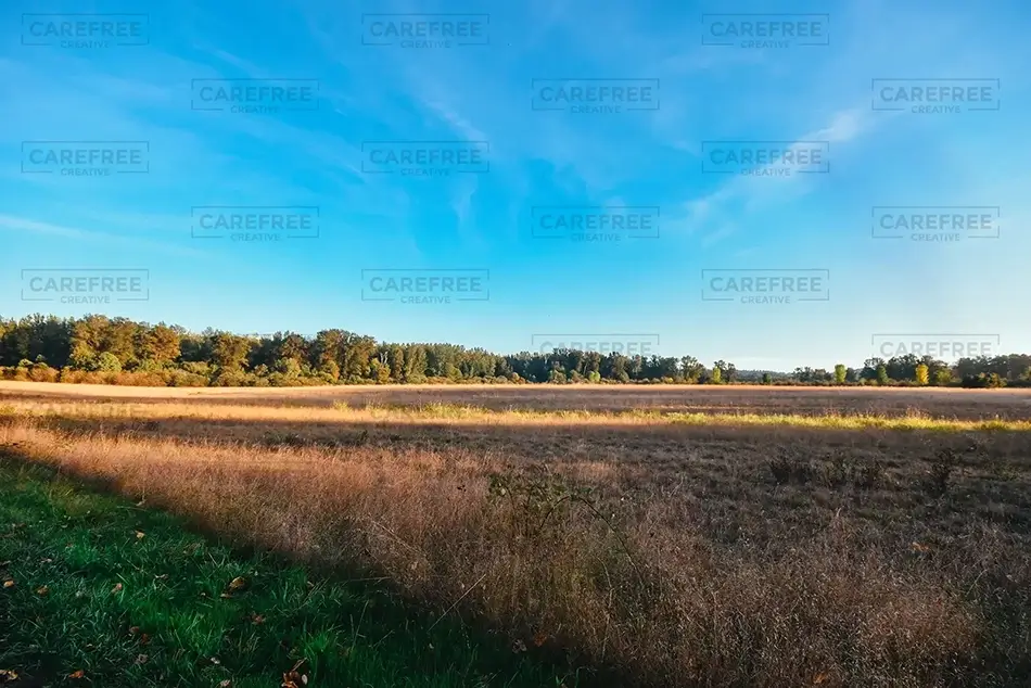 Minto-Brown Island Park Autumn Field, Salem, Oregon · United States