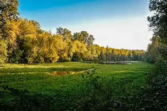 Minto-Brown Island Park Verdant Meadow, Salem, Oregon