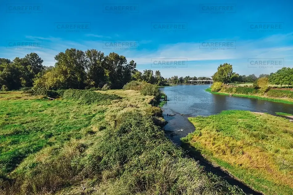 Minto-Brown Island Park Wetland Streams, Salem, Oregon · United States