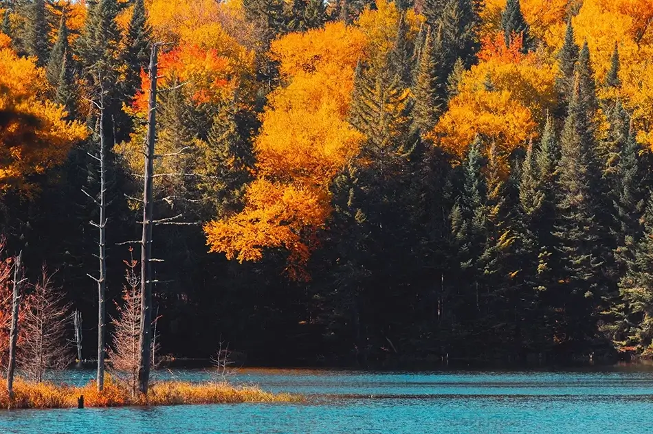 Mont Tremblant Autumn, Mont-Tremblant National Park, Quebec · Canada
