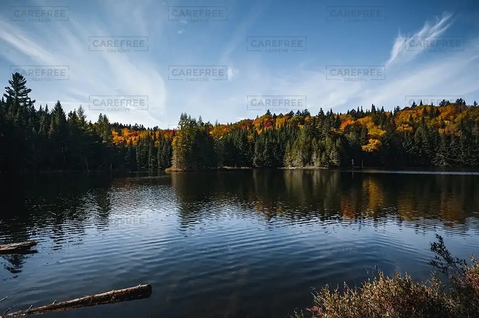 Mont Tremblant Dark Fall Lakeside, Mont-Tremblant National Park, Quebec · Canada