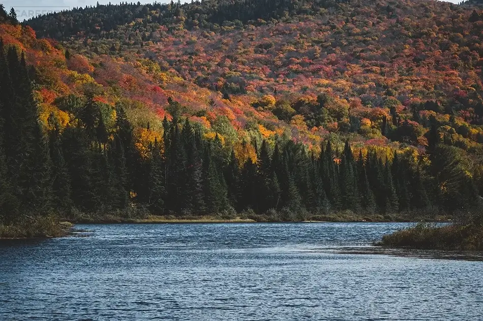 Mont Tremblant Fall Stream, Mont-Tremblant National Park, Quebec · Canada