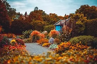Montreal Botanical Garden Blue Garden Shed In Autumn, Montreal, Quebec