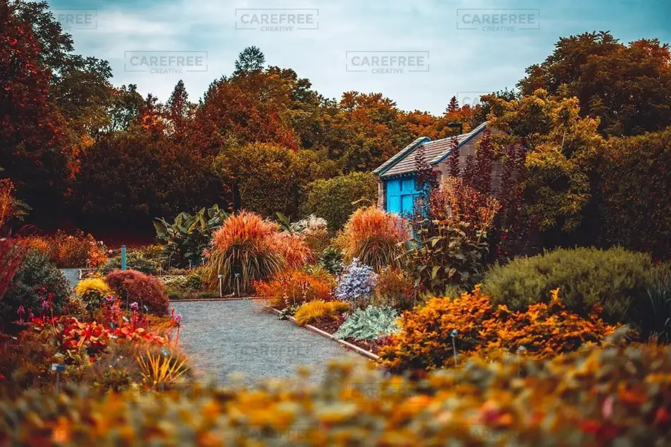 Montreal Botanical Garden Blue Garden Shed In Autumn, Montreal, Quebec · Canada