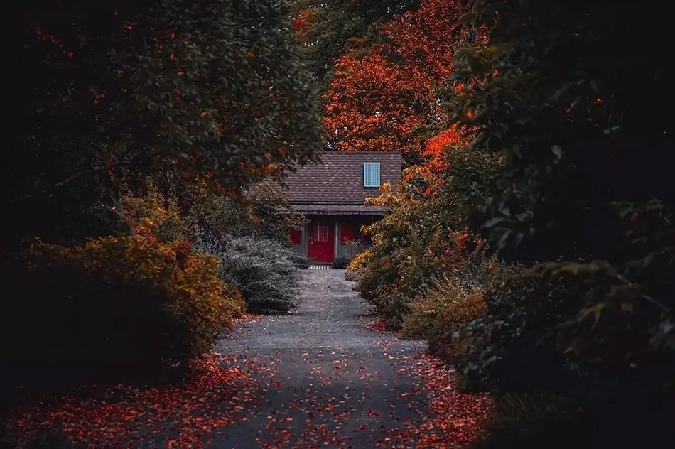 Montreal Botanical Garden Secluded Autumn Cabin, Montreal, Quebec · Canada
