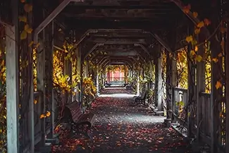 Montreal Botanical Garden Autumn Archway, Montreal, Quebec