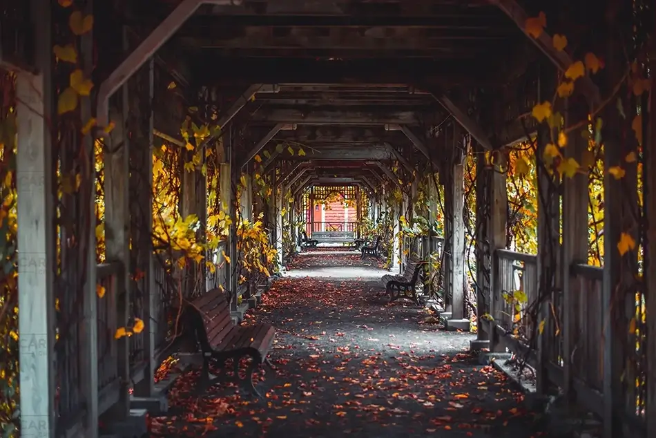 Montreal Botanical Garden Autumn Archway, Montreal, Quebec · Canada