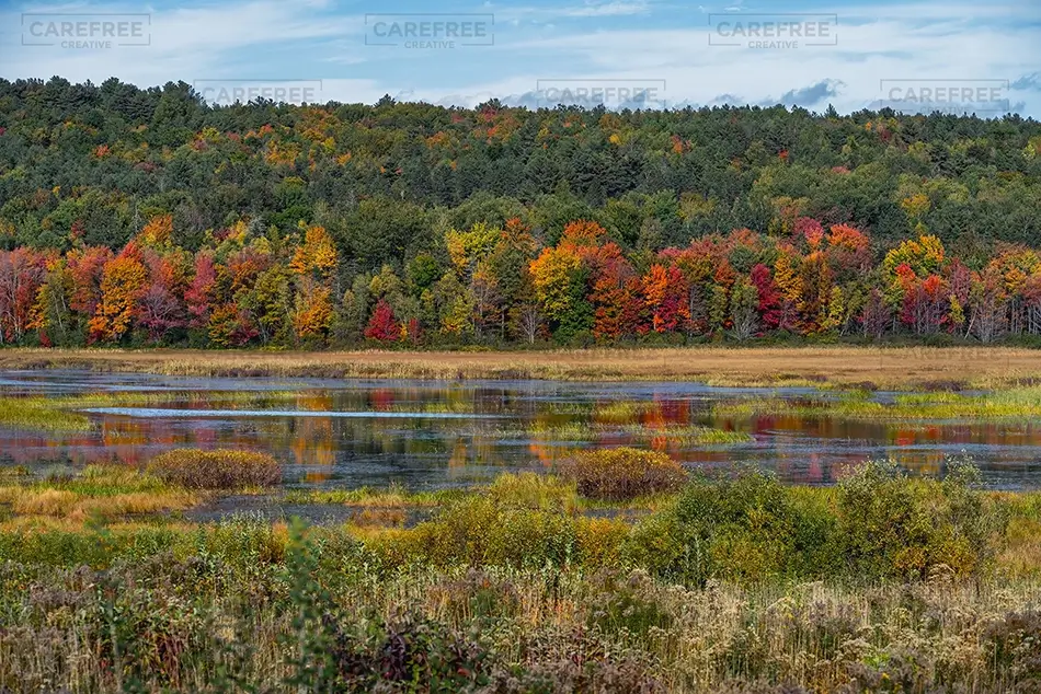 Moosehorn National Wildlife Refuge Colorful Autumn Landscape