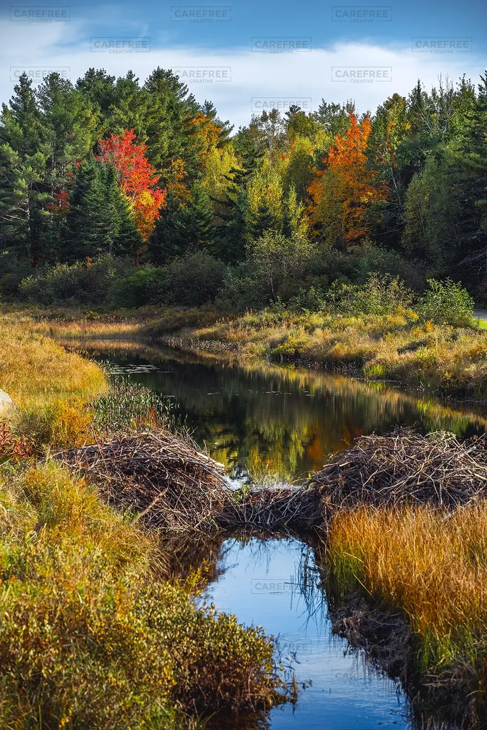 Moosehorn National Wildlife Refuge Autumn Dam