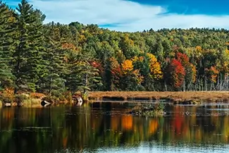 Moosehorn National Wildlife Refuge Autumn Foliage and Reflections, Baring, Maine
