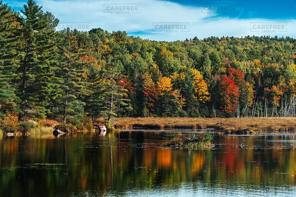 Moosehorn National Wildlife Refuge Autumn Foliage and Reflections