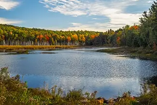 Moosehorn National Wildlife Refuge Serene Autumn Marshes, Baring, Maine