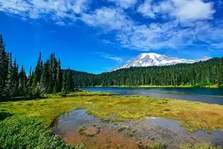 Mount Rainier National Park Alpine Serenity, Washington