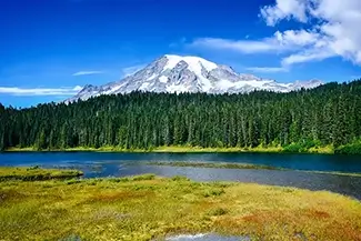 Mount Rainier National Park Alpine Meadow, Washington