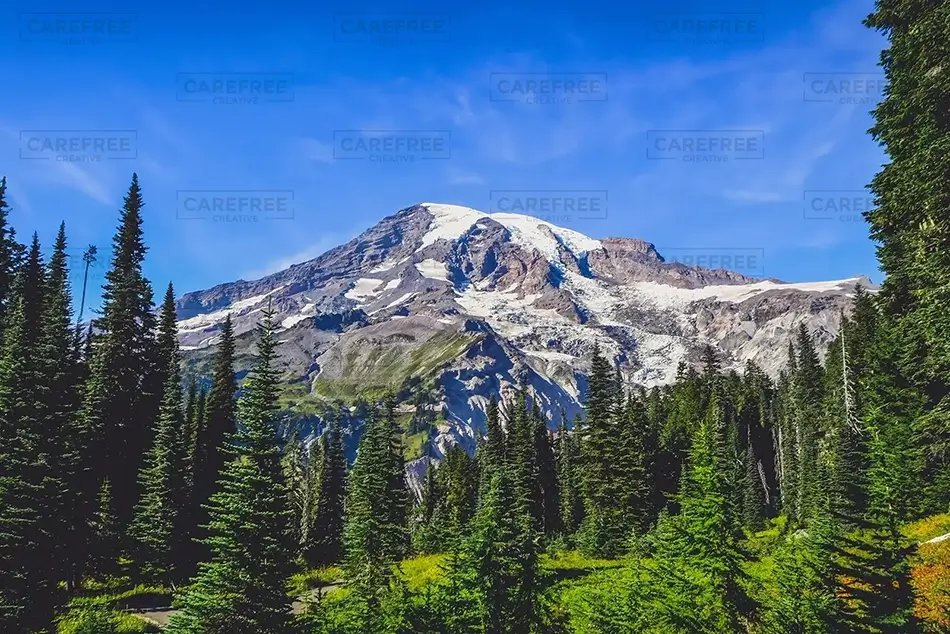 Mount Rainier National Park Emerald Canopy, Washington · United States