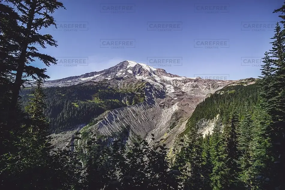 Mount Rainier National Park Misty Mountain Morning, Washington · United States