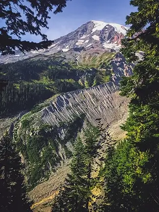 Mount Rainier National Park Summer Greens, Washington