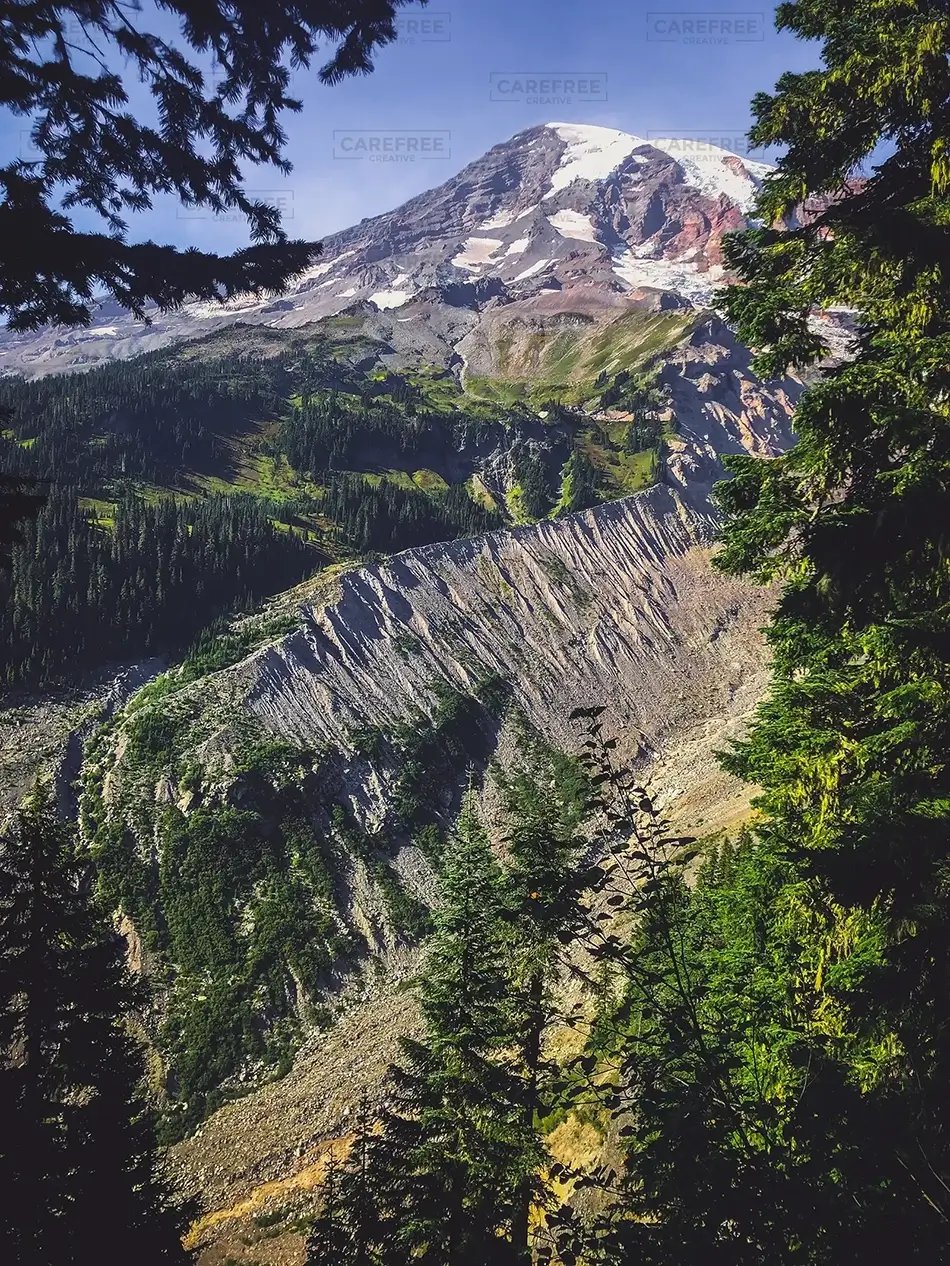 Mount Rainier National Park Summer Greens, Washington · United States
