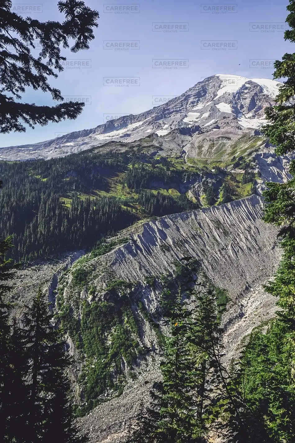 Mount Rainier National Park Sunlit Summit, Washington · United States