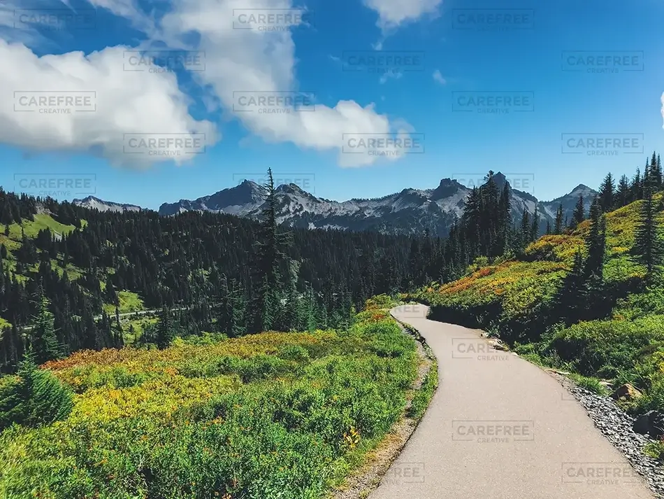 Mount Rainier National Park Winding Path, Washington · United States