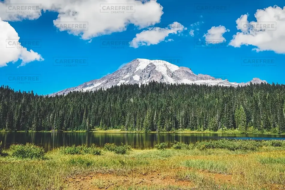 Mount Rainier National Park Meadow and Peaks