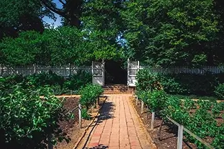 Mount Vernon Ornamental Garden Path, Mt Vernon, Virginia