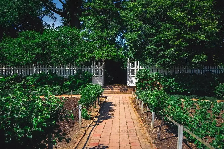 Mount Vernon Ornamental Garden Path, Mt Vernon, Virginia · United States