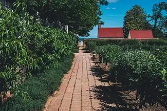 Mount Vernon Brick Garden Walkway, Mt Vernon, Virginia