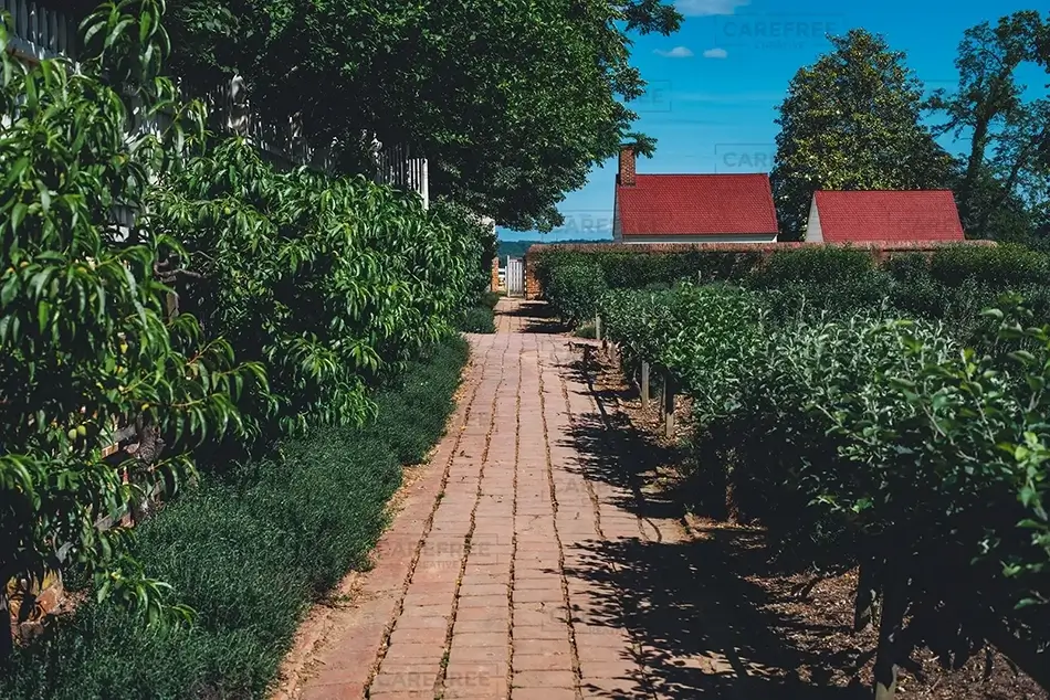Mount Vernon Brick Garden Walkway, Mt Vernon, Virginia · United States